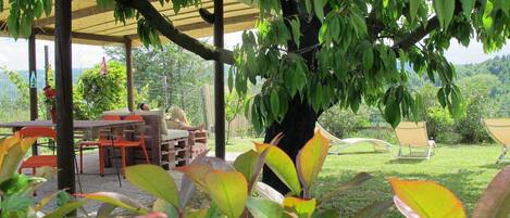 تناول الطعام بالخارج