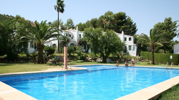 Une piscine rectangulaire bordée de carreaux, entourée d’une pelouse bien entretenue et de palmiers.