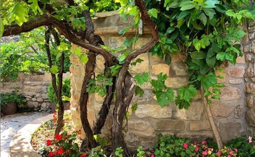 Fantastic rural house Cal Macià