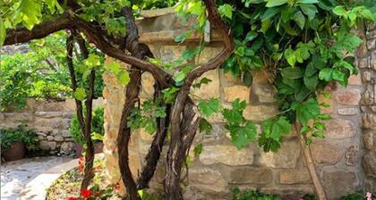 Fantastic rural house Cal Macià