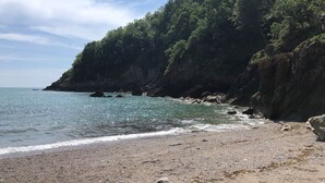 En strand med ett stenigt landskap och tät vegetation.