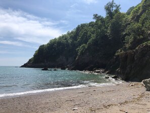Experience the serene coastal landscape with a pebbly beach and steep, forested cliffs.