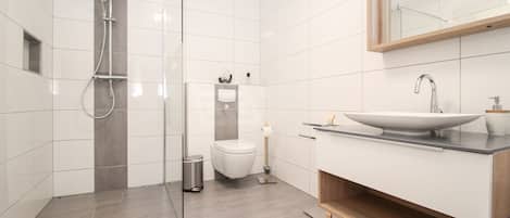 Regadera, secadora de cabello, papel de baño