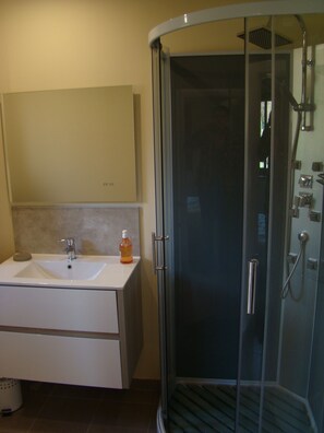 Shower, hair dryer, towels, soap