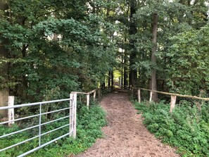 Image sans description, 4 de 22, bouton