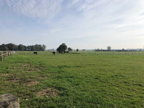 Photo non classée, 2 sur 23, bouton