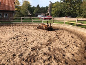 Image sans description, 3 de 22, bouton