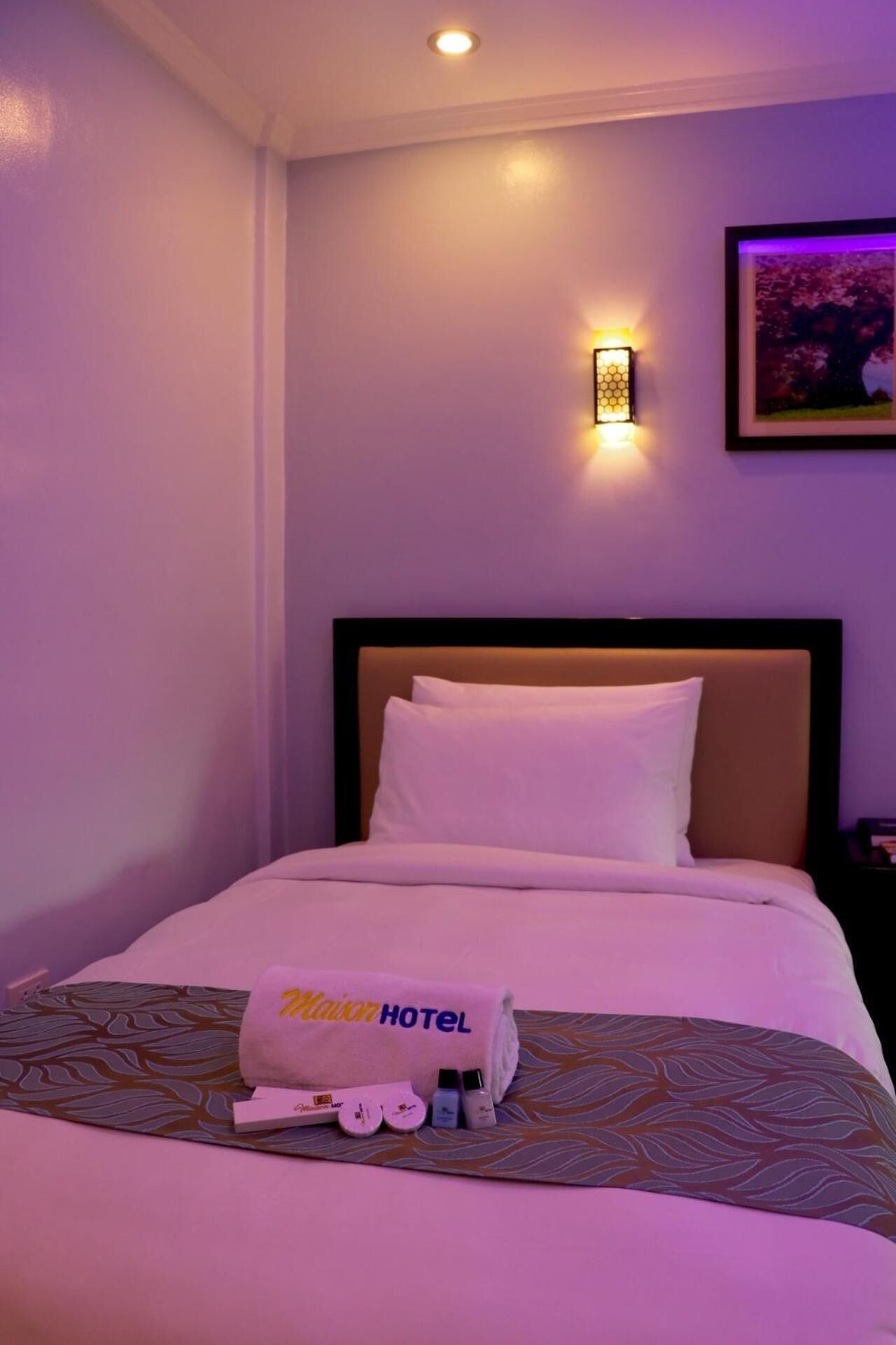 A hotel room with a bed, a nightstand, a wall-mounted light, and a framed picture.