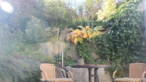 An outdoor seating area with two wicker chairs and a small round table, surrounded by greenery and a stone wall. - Apartment 2 in the beautiful Gutenberg / Ostallgäu (Gutenberg)