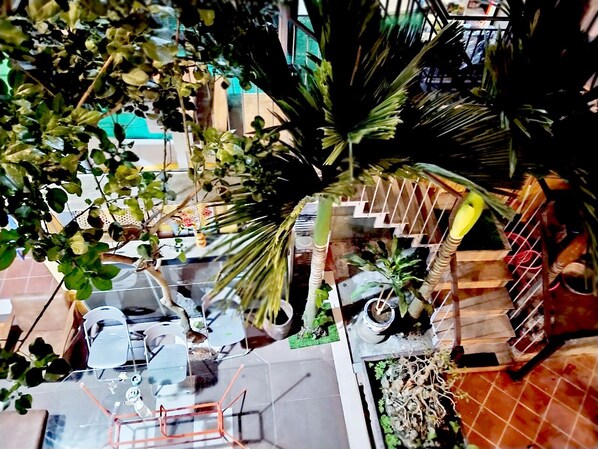 Una jaula de pájaros con varios posaderos y una planta pequeña.