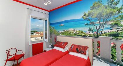 Camy House