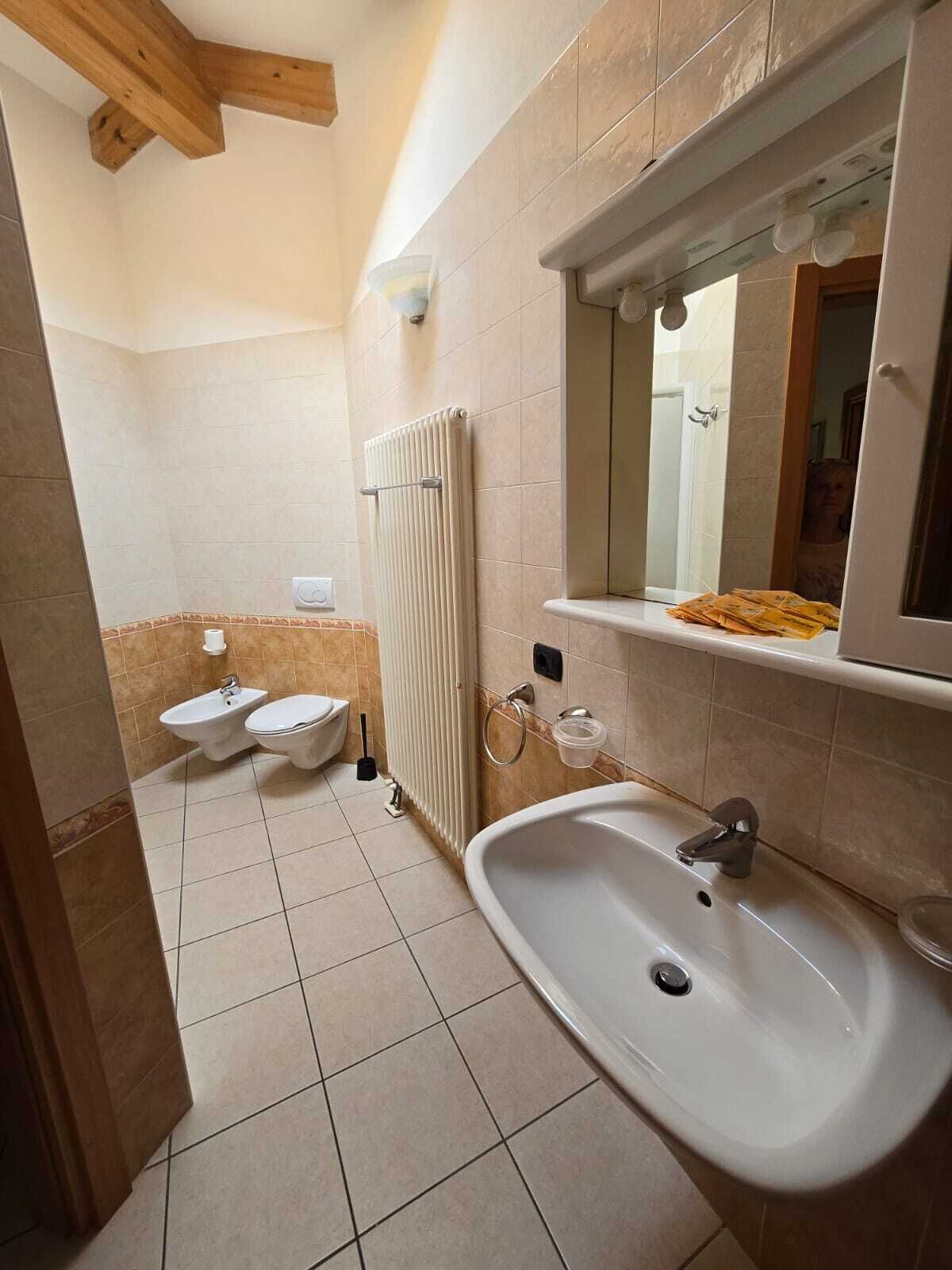 A bathroom with a sink, two toilets, a radiator, and a mirror.