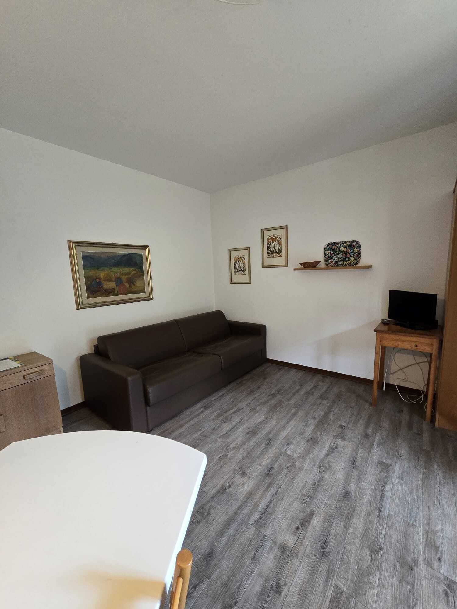 Ein Zimmer mit grauem Holzboden, einem dunkelbraunen Sofa, einem weißen Tisch und einem Fernseher auf einem Holzbodenständer.