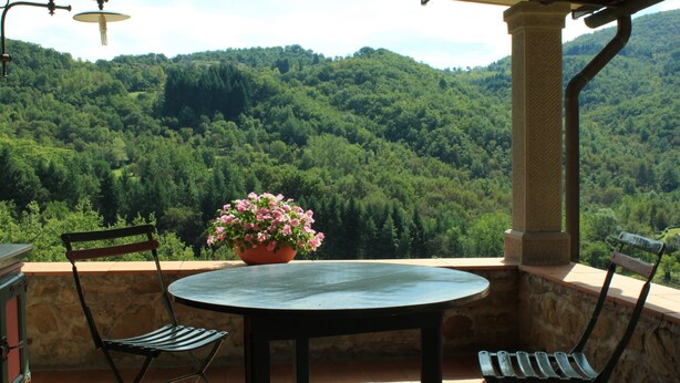 Un patio con una mesa redonda y dos sillas, una planta en maceta y vistas a una ladera boscosa.