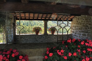 المنطقة المحيطة بالمنشأة