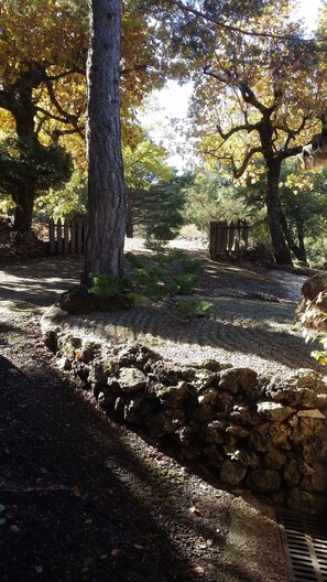 Property grounds - Provencal house in private wooded grounds with swimming pool and tennis court. Sleeps 5.  (Tourtour)