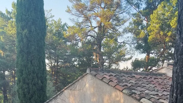 Um edifício tradicional com telhado de cerâmica, cercado por um caminho de brita e pequenas árvores.