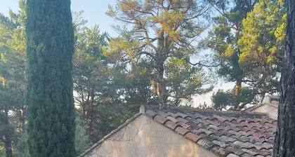 Provencal house in private wooded grounds with swimming pool and tennis court. Sleeps 5.