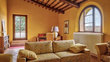 Televisión, chimenea, reproductor de DVD y libros