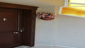 Immagine non classificata, 3 di 19, pulsante