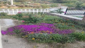 Garden - FO001 by Villaofsummer Izmir Foca (Foça)