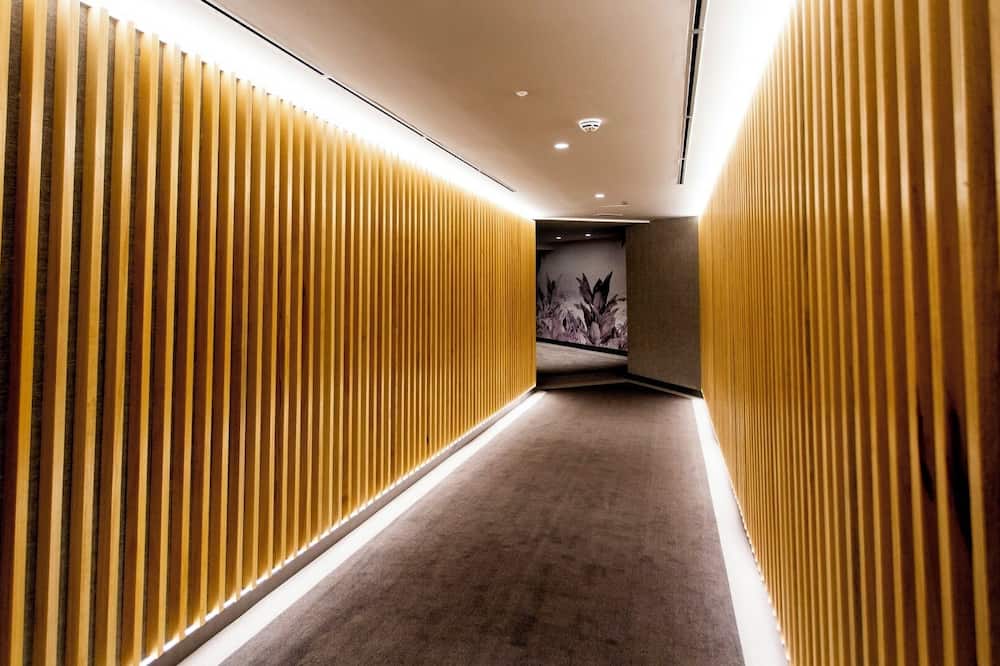 Hotel Pax Guadalajara