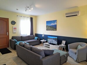 Flachbildfernseher, Bücher