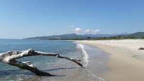 Une plage à l’eau claire, un tronc d’arbre échoué et des montagnes à l’horizon.