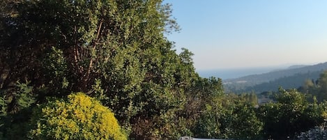 Idromassaggio all'aperto
