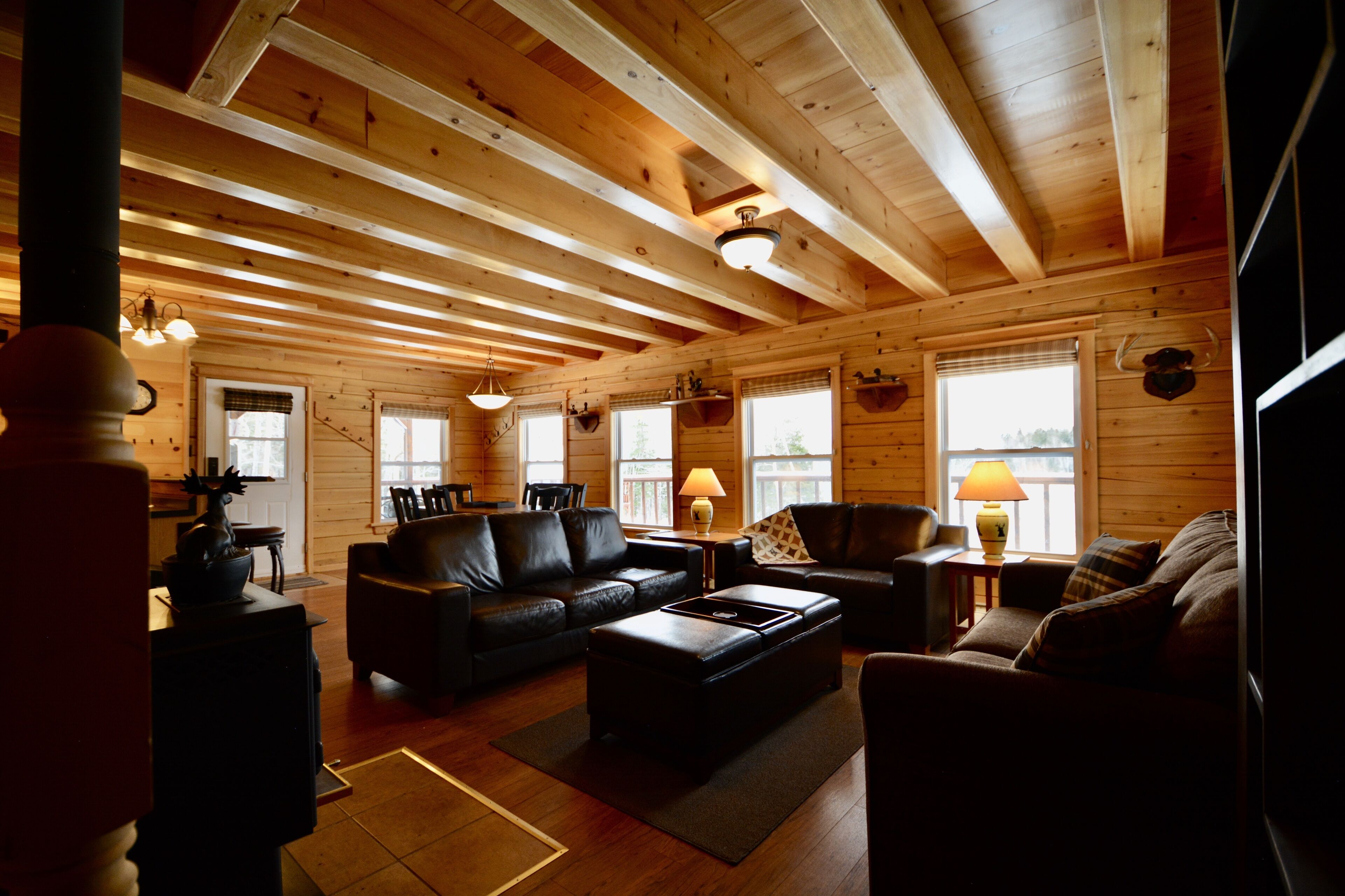 Smart TV, chimenea, reproductor de DVD y videoteca 