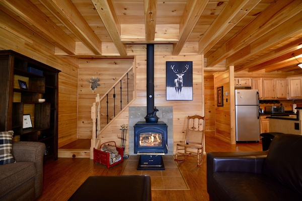 Älytelevisio, takka, DVD-soitin, videokirjasto