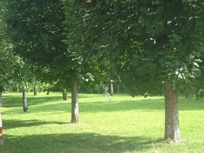 Property grounds - Chambres D'hotes La Chaumiere (Arcy-sur-Cure)