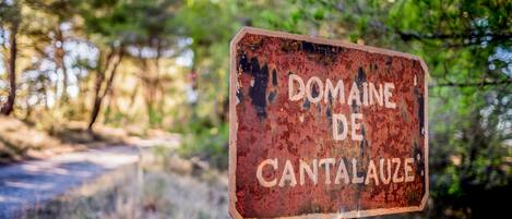 A weathered sign with the text "DOMAINE DE CANTALAUZE" in a rustic font, mounted on a wooden post.