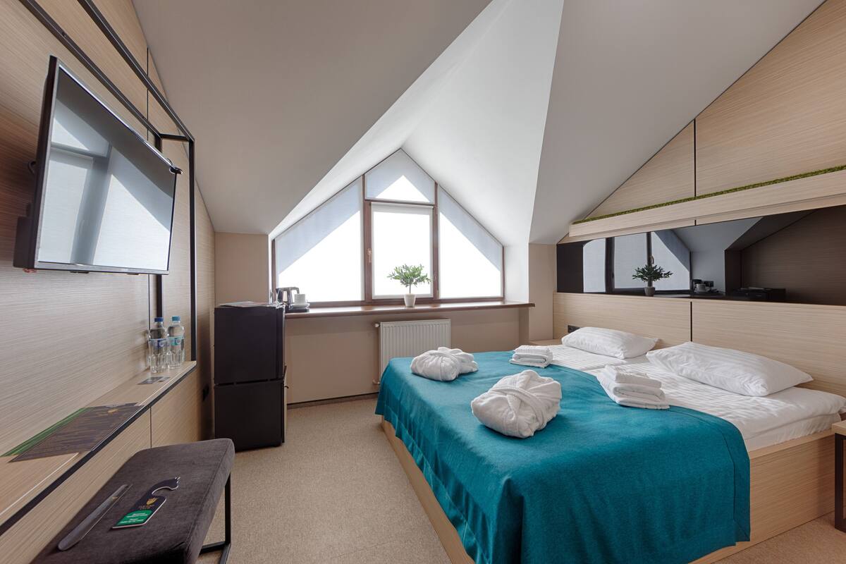 Basic Double Room | Minibar, desk, iron/ironing board (on request), WiFi (free)