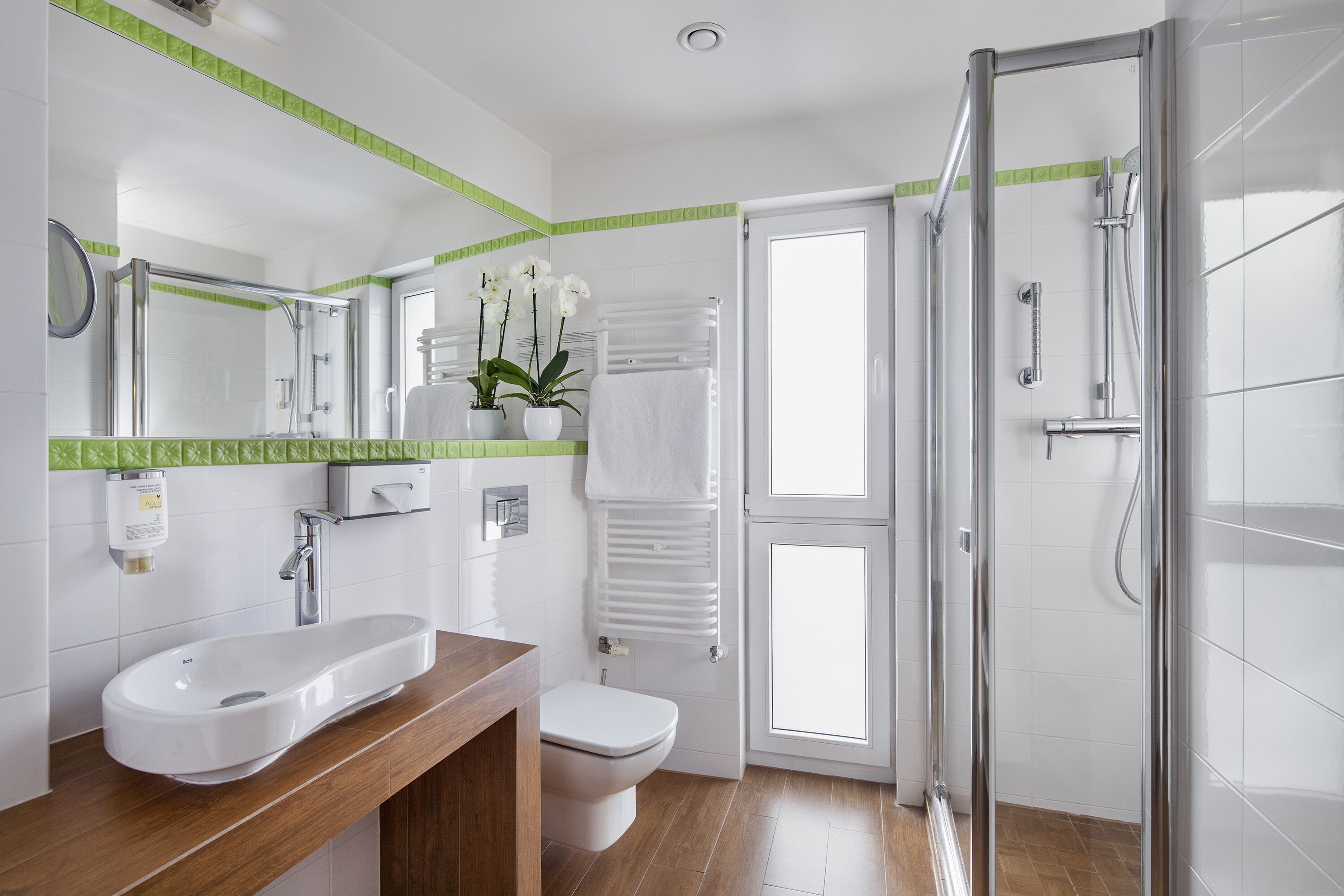 eco-friendly toiletries, hair dryer, towels, soap