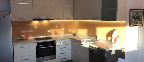 Apartment, 1 Bedroom | Private kitchen | Fridge, stovetop, electric kettle, cookware/dishes/utensils