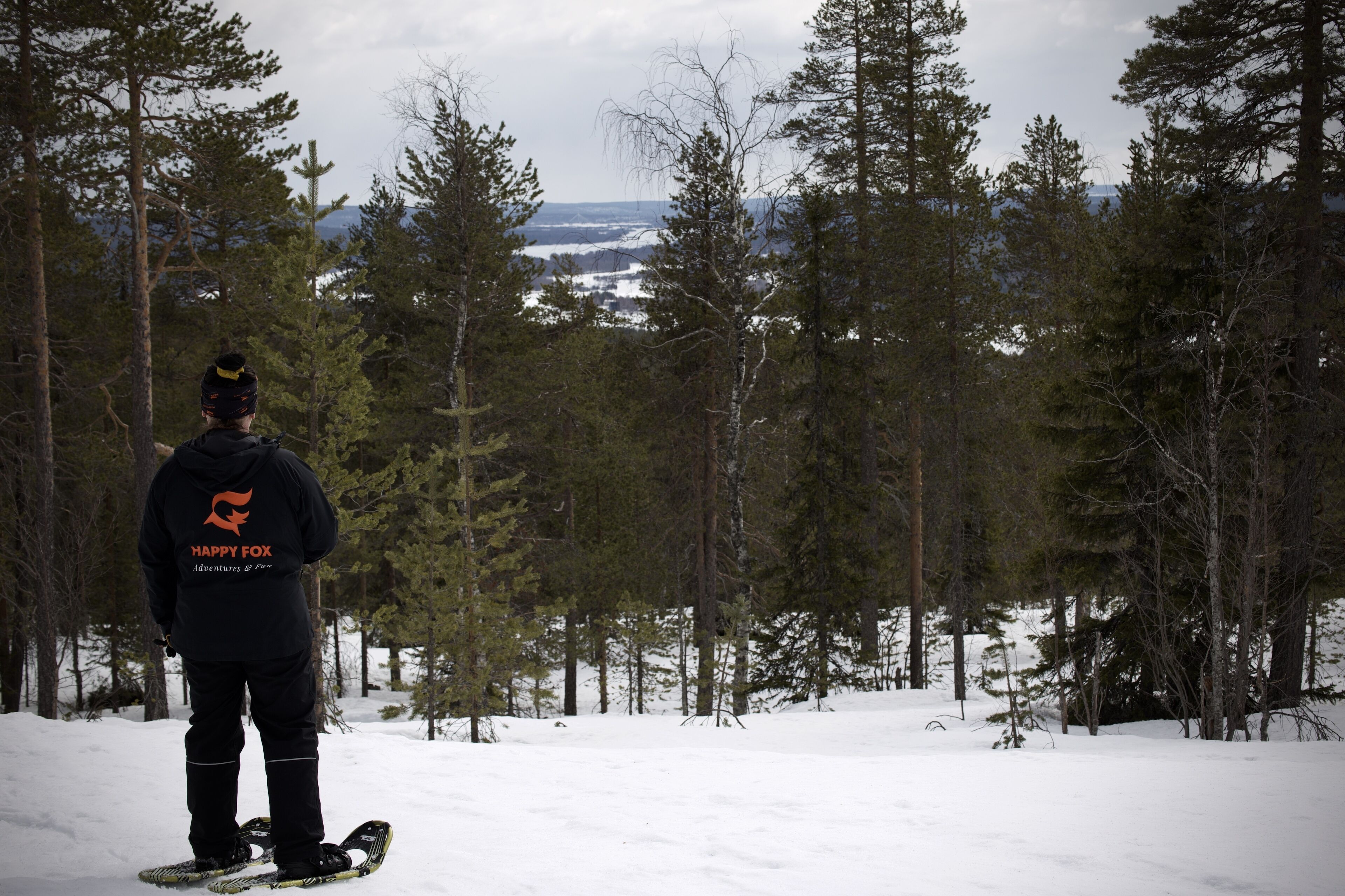 A person standing on a snowboard in a snowy forest with tall trees and a distant view of a lake.