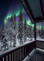 Un bosque nevado con vistas a las auroras boreales.