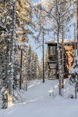 Exterior - Villa Happy Fox (Rovaniemi)