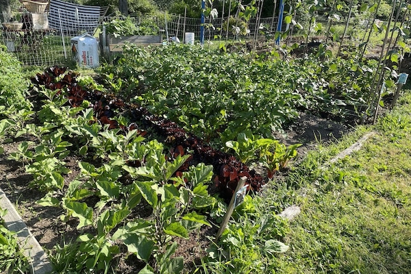 Áreas de la propiedad