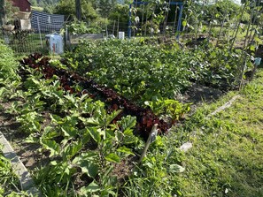Unterkunftsgelände
