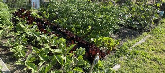 Charming Country Farm Stay with Spectacular Views and Fun!