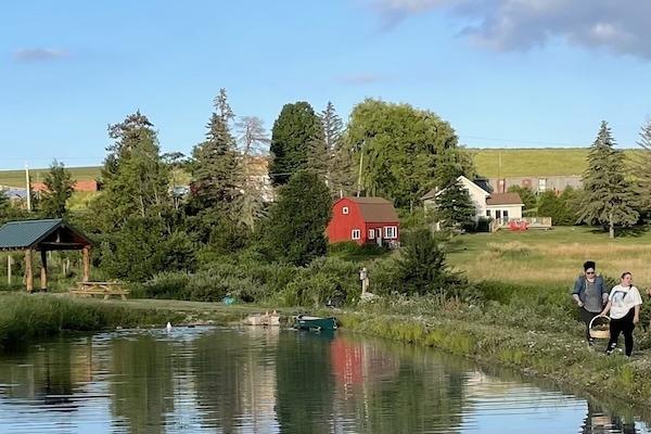 Boendeområde
