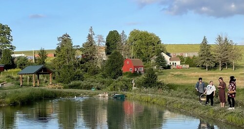 Charming Country Farm Stay with Spectacular Views and Fun!