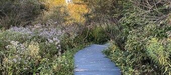 Charming Country Farm Stay with Spectacular Views and Fun!