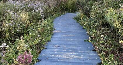 Charming Country Farm Stay with Spectacular Views and Fun!