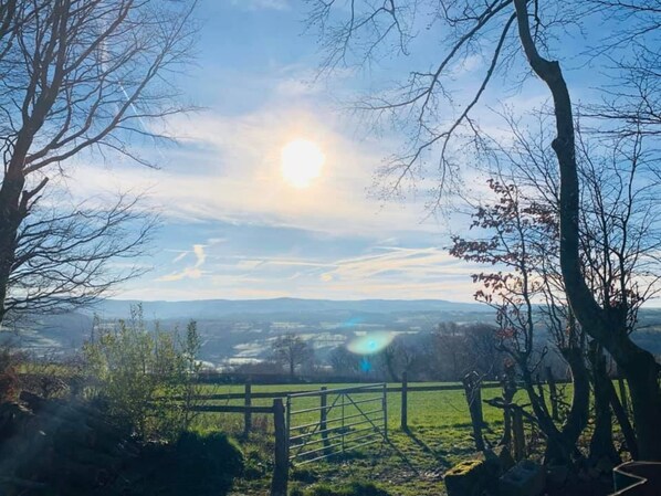 A rural landscape with a wooden fence, trees, and a distant view of fields and hills. - Pencastell Views Pod With Stunning Views (Lampeter)