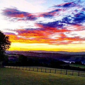 Cabin, 1 Queen Bed with Sofa bed | Property grounds