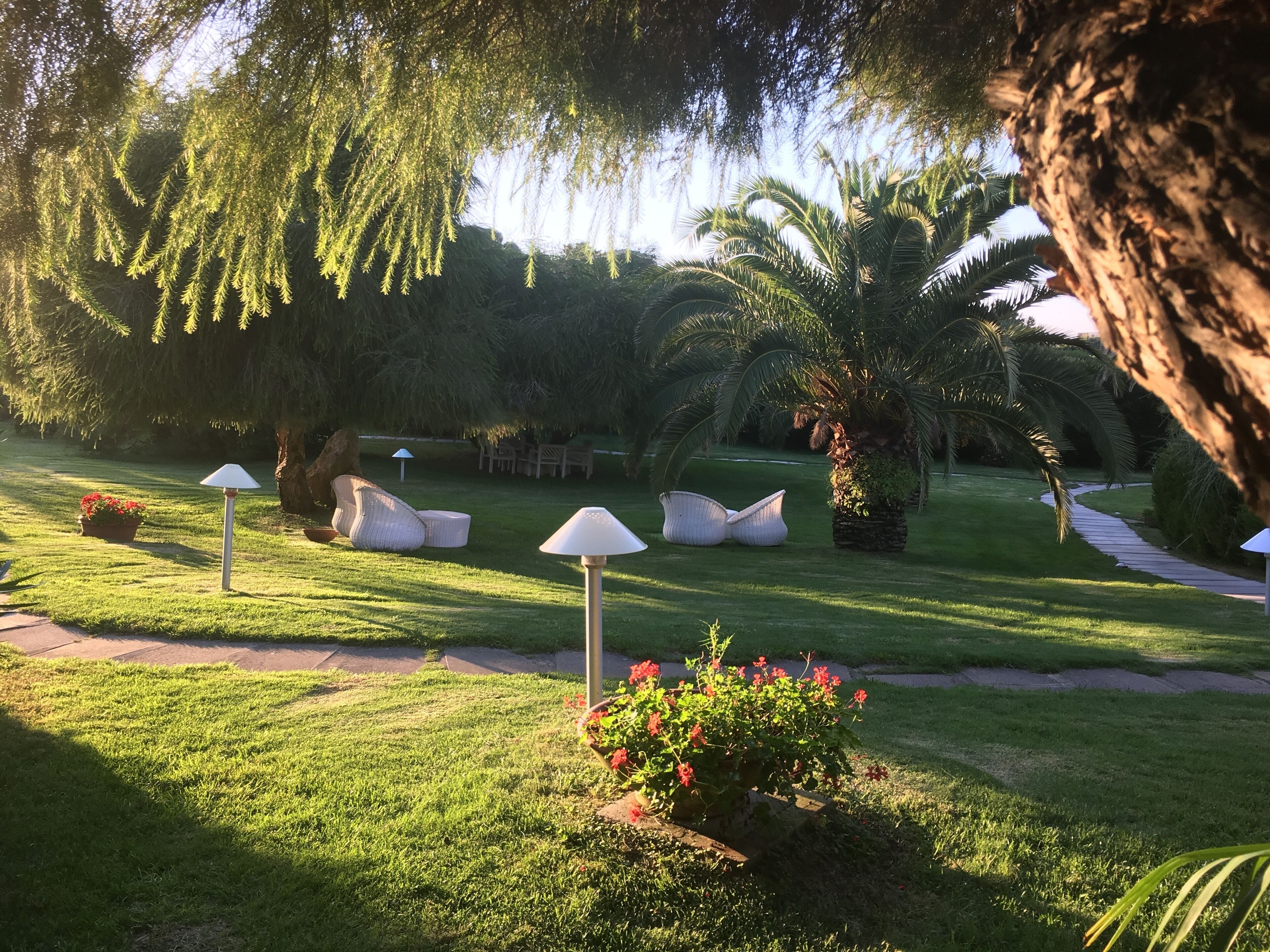 A well-maintained garden with a pathway, outdoor seating, and a variety of trees.