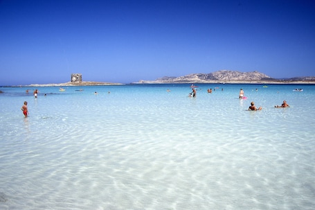 Beach. Cala Rosa Club Hotel